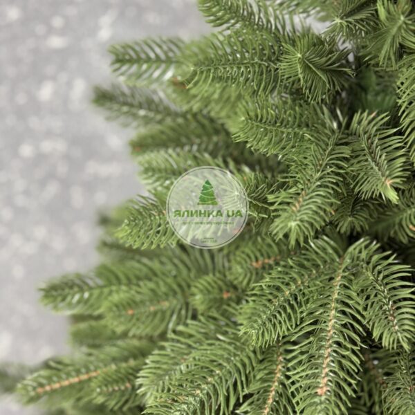 Лита ялинка "Роял" в горщику