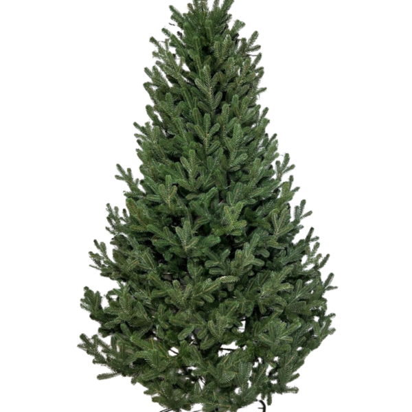 Гірлянда лита "Президентська" 1 м