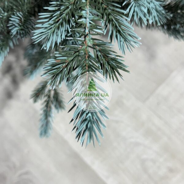 Лита ялинка "Аляска"