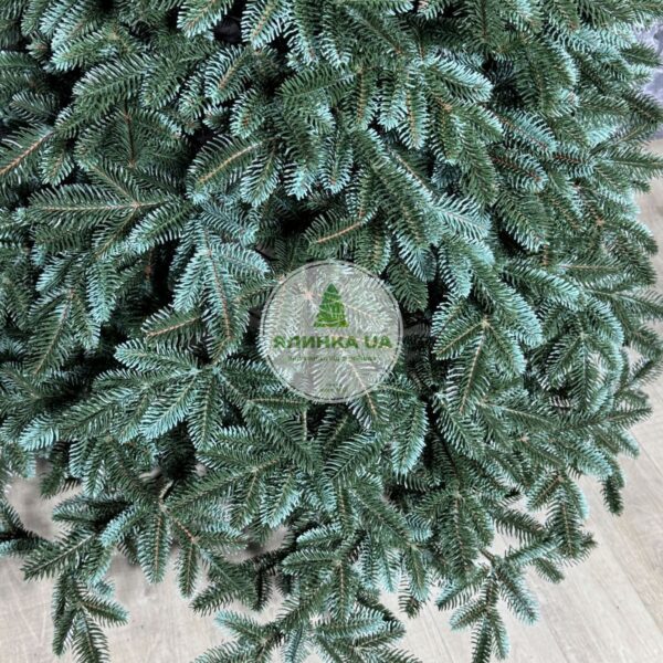 Лита ялинка "Канадська"