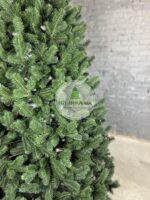 Лита ялинка Ковалівська зелена