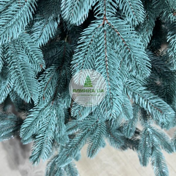 Лита ялинка "Лапландська"