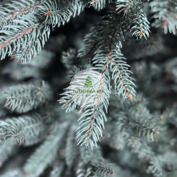 Лита ялинка "Лідія" на шарнірах