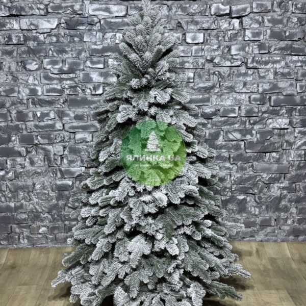 Лита ялинка "Президентська Royal"