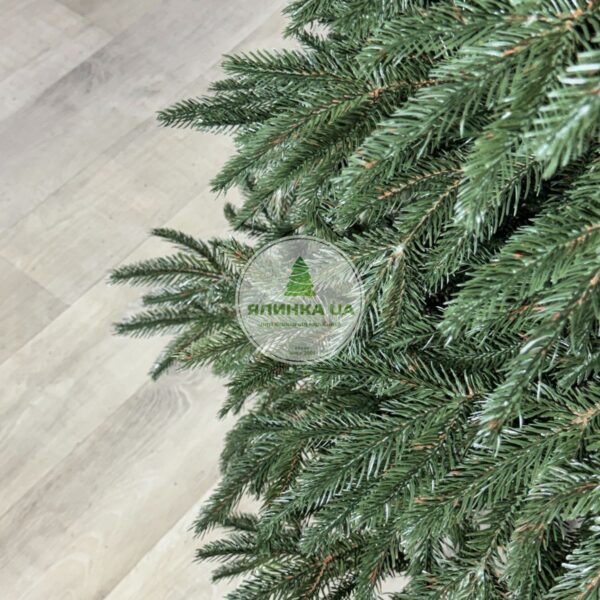 Лита ялинка "Смерека Плюс"