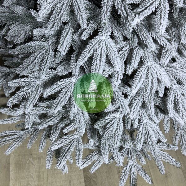 Лита ялинка "Смерека"