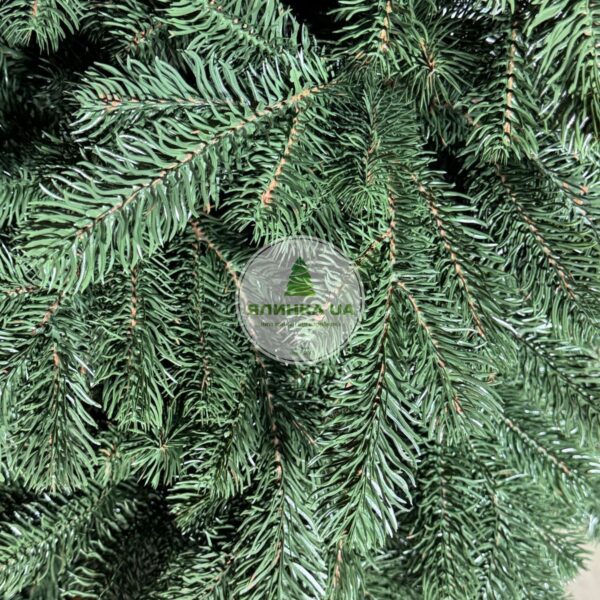 Лита ялинка "Валенсія"