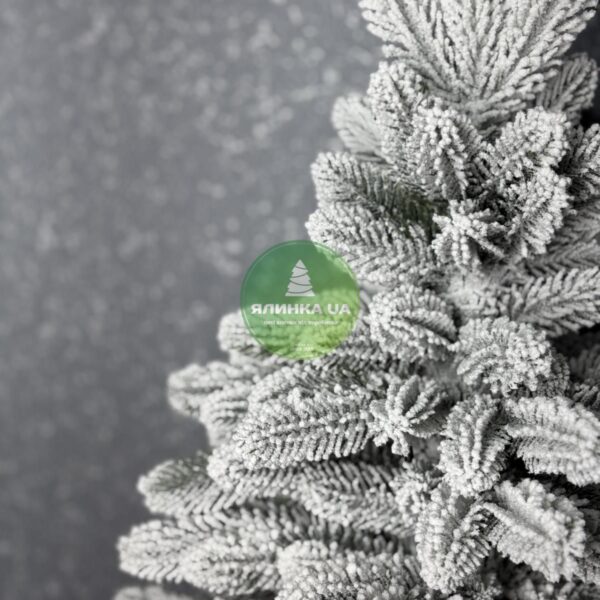 Лита ялинка "Версаль" в горщику