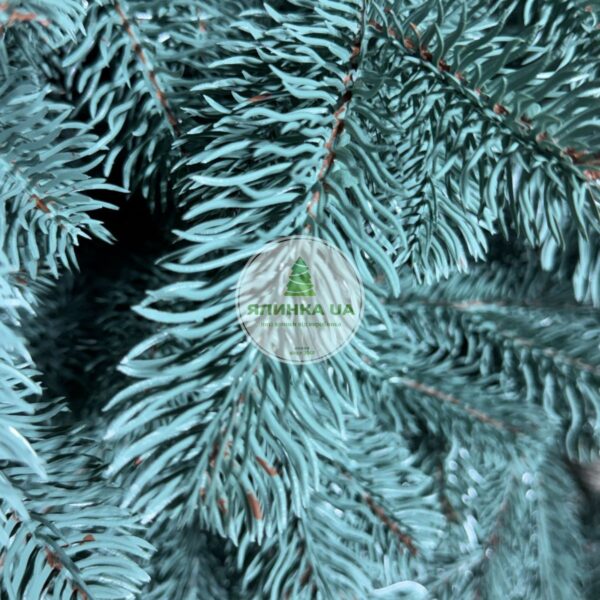 Лита ялинка "Версальська"