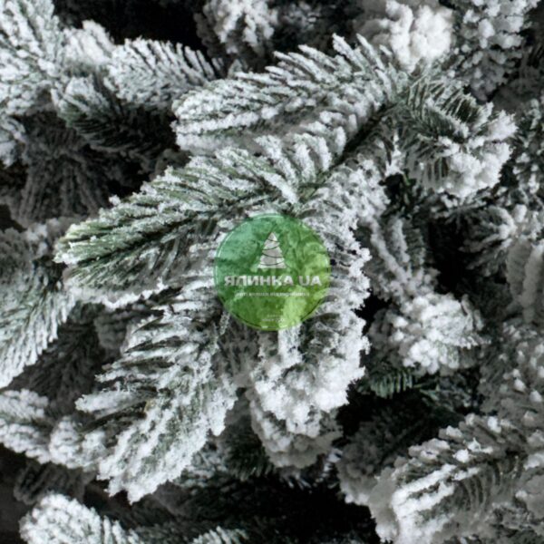 Лита ялинка "Віденська-2"
