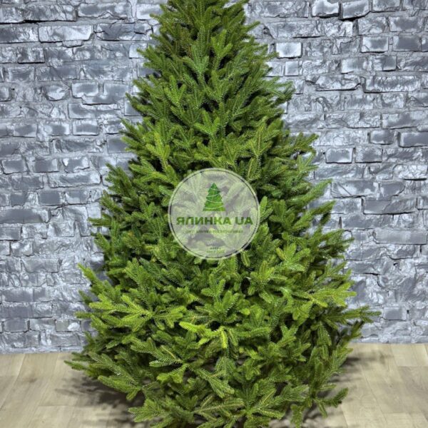 Лита ялинка "Віденська Весняна"
