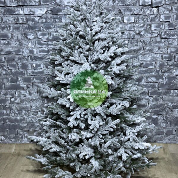 Лита ялинка "Віденська Європейська"